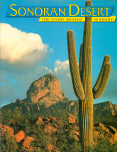 SONORAN DESERT: the story behind the scenery (AZ/CA).